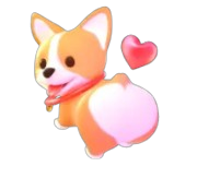 Corgi
