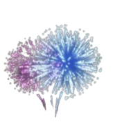 Fogos de Artifício